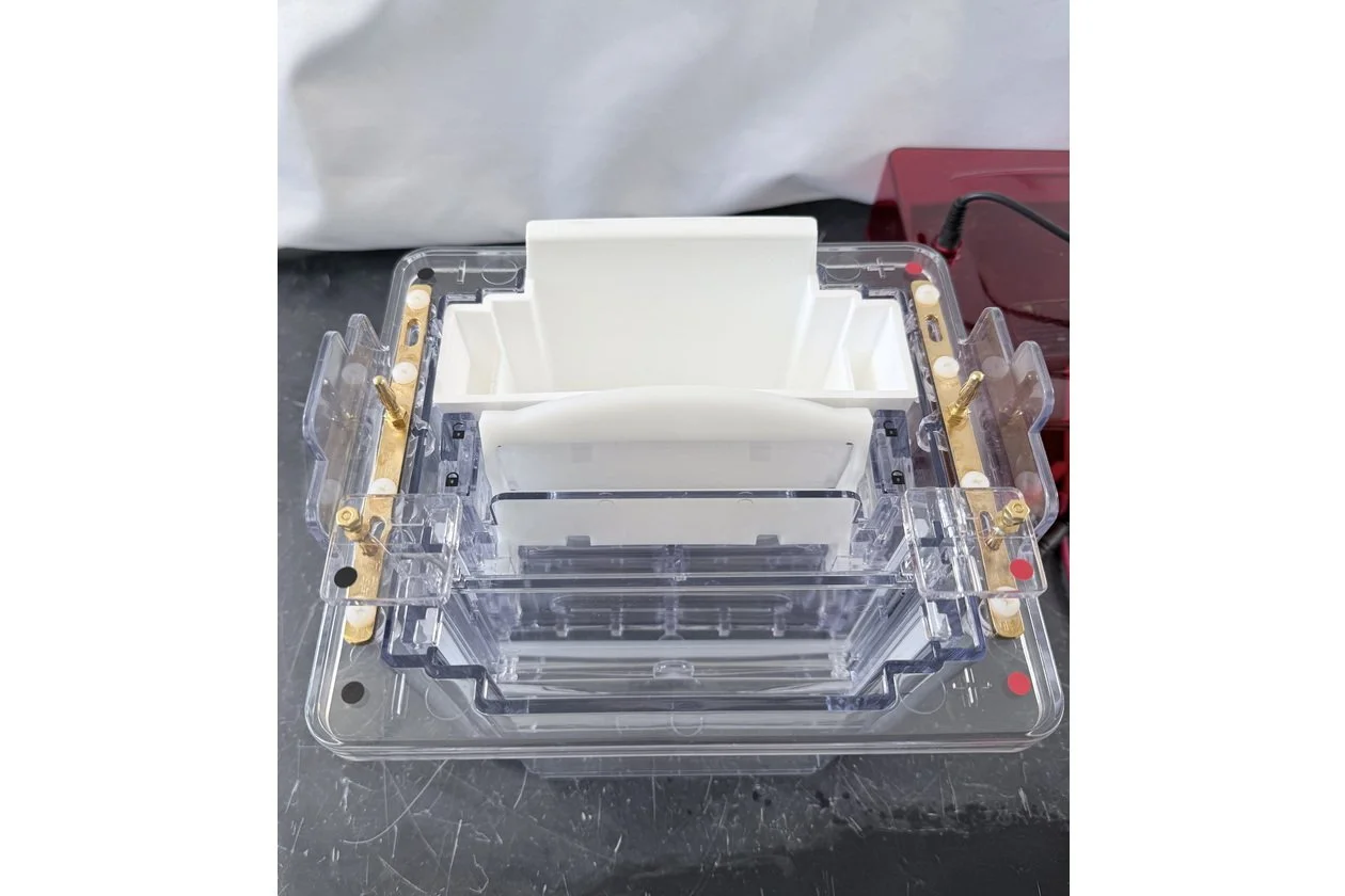 2026-03-09 14-58-42-1.acdsee.JPG