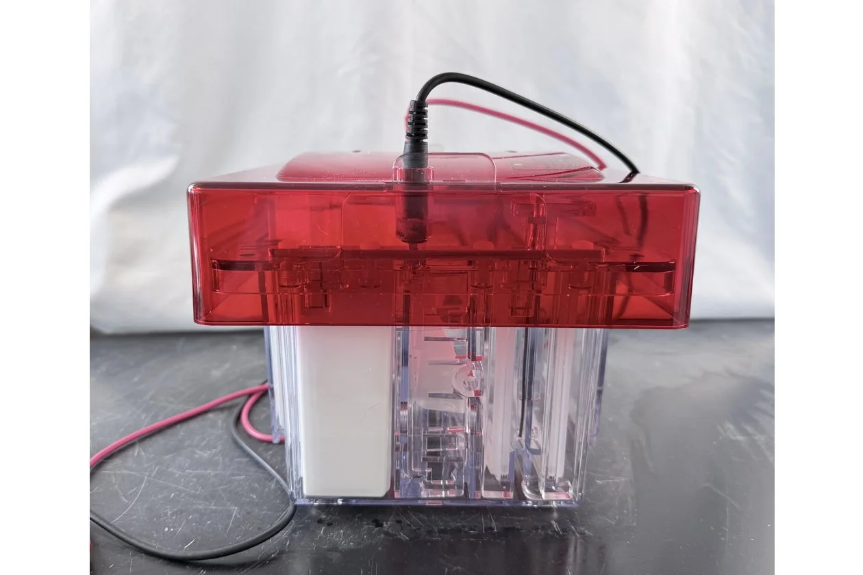 2026-03-09 14-58-16-1.acdsee.JPG