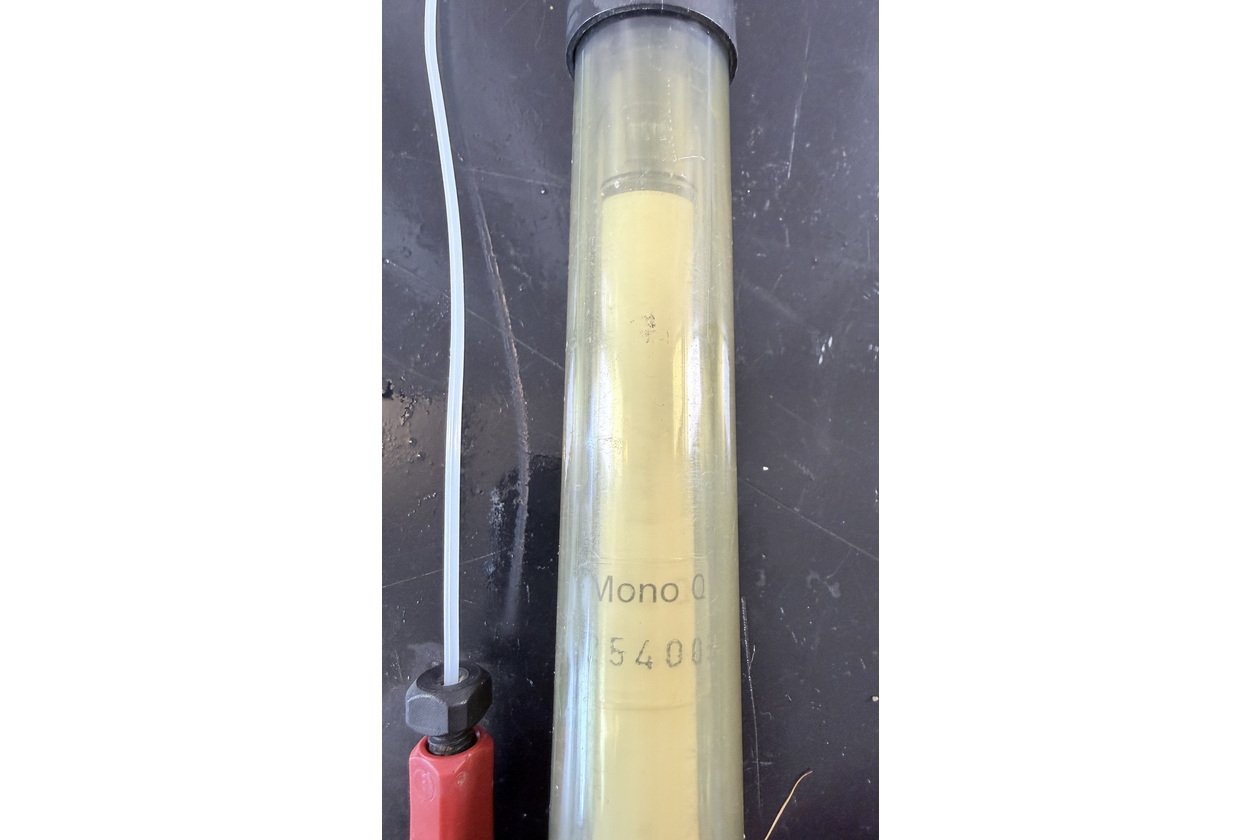 2026-01-26 14-55-32-1.acdsee.JPG