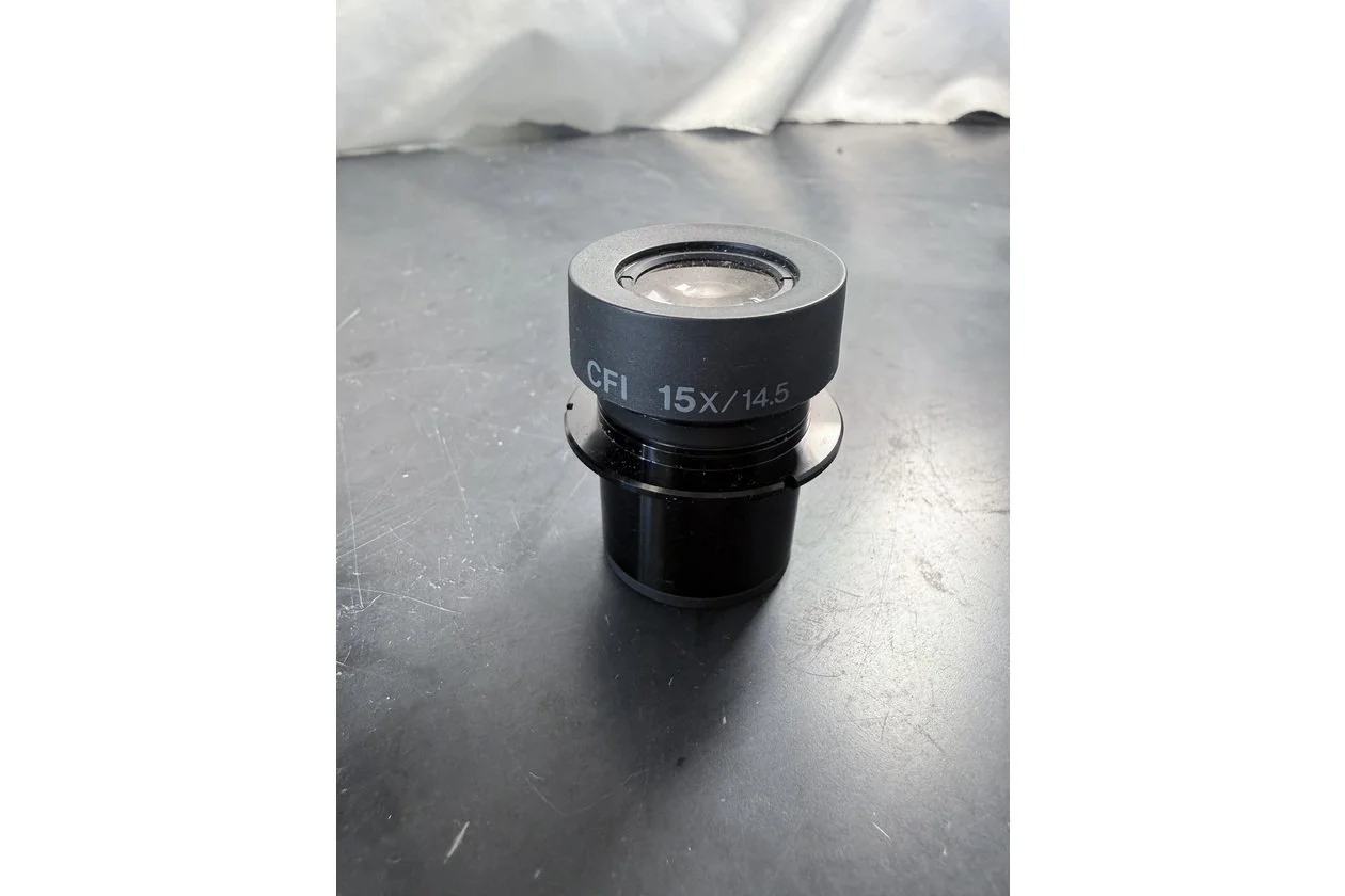 2026-02-04 15-49-03.acdsee.JPG