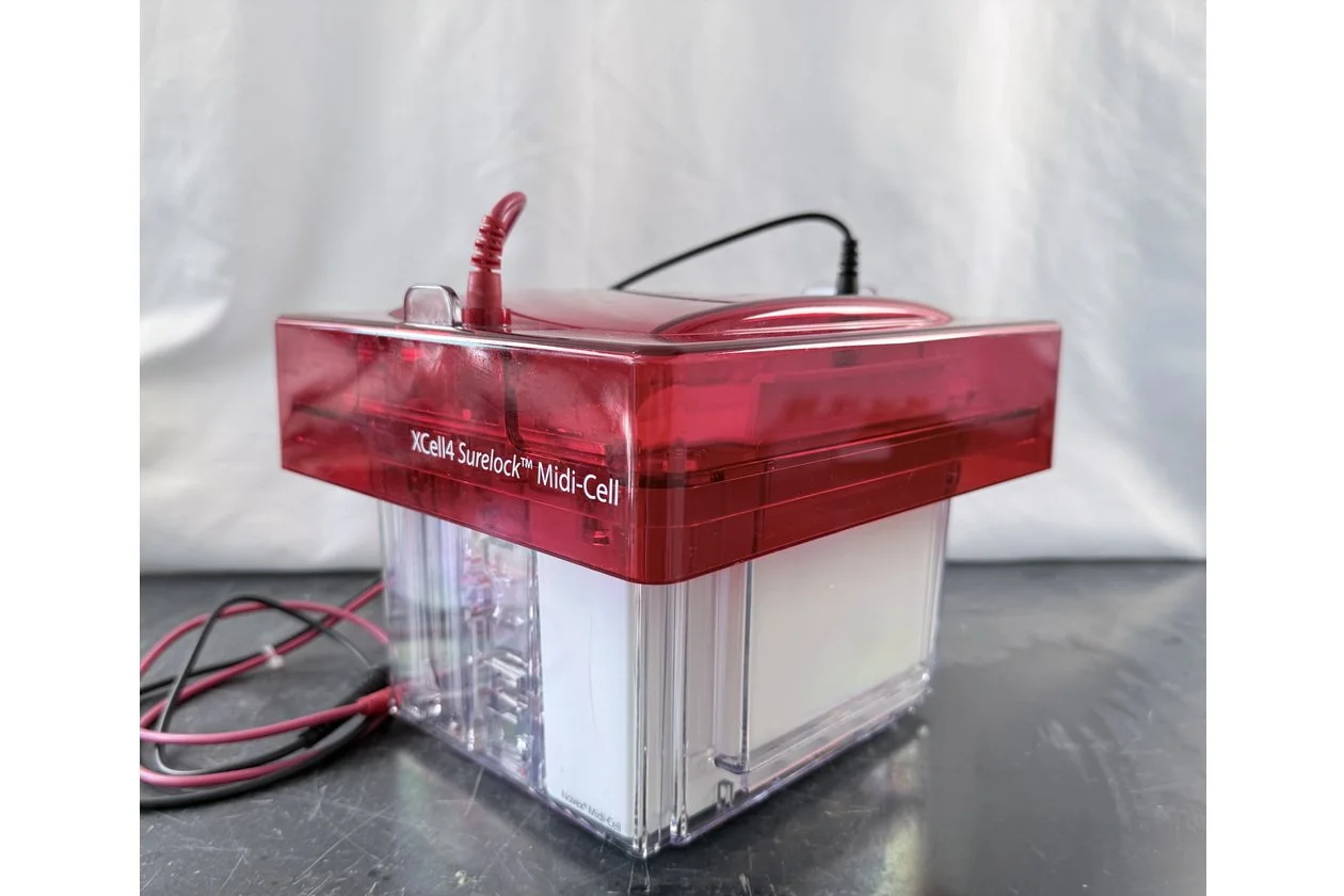 2026-03-09 14-57-47-1.acdsee.JPG