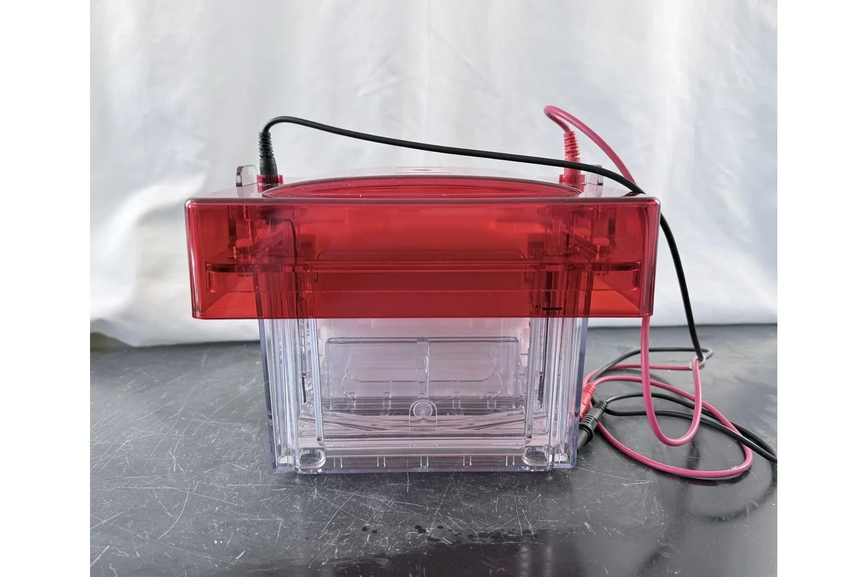 2026-03-09 14-58-30-1.acdsee.JPG