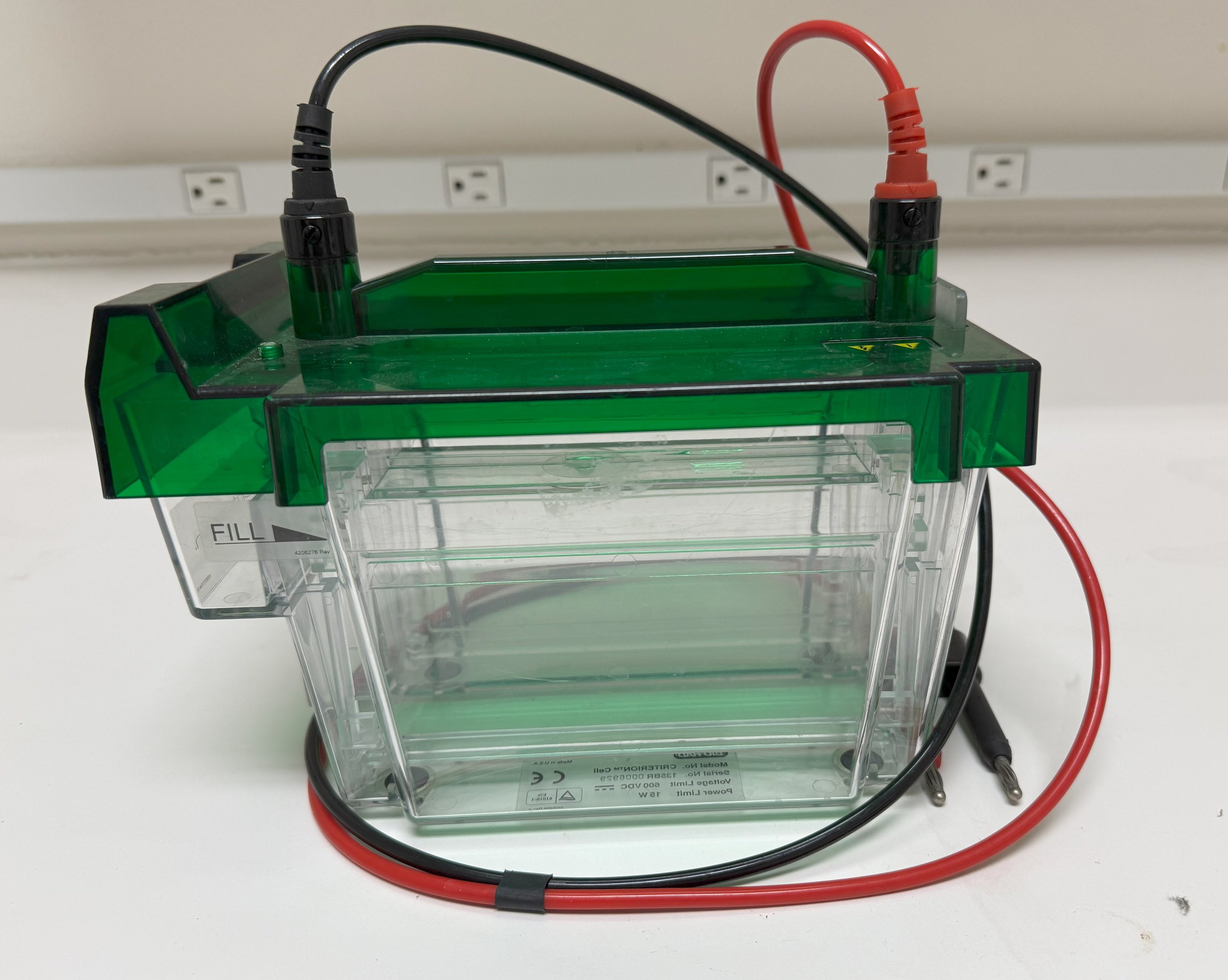 BioRad Criterion Vertical Electrophoresis Cell