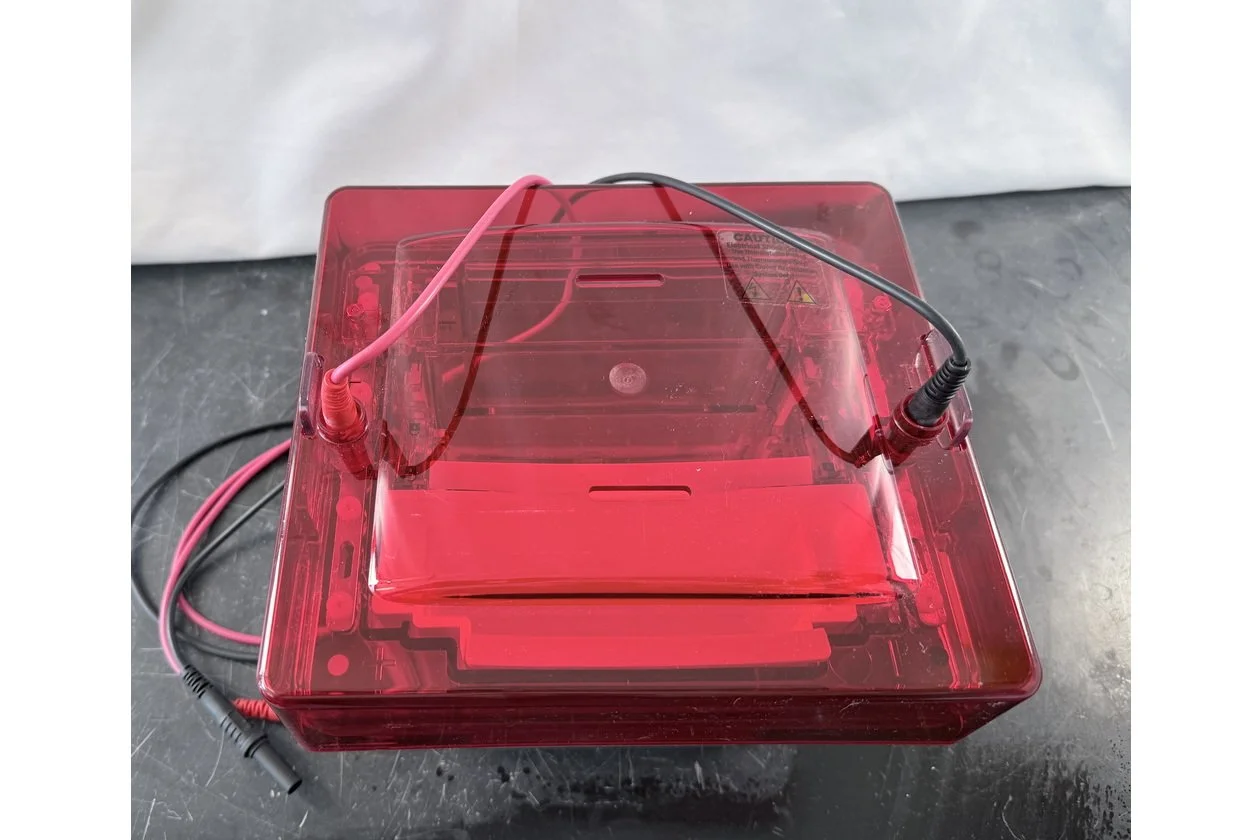 2026-03-09 14-58-05-1.acdsee.JPG