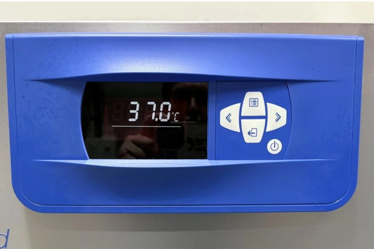 FisherBrand IsoTemp Incubator 180L_6.jpg