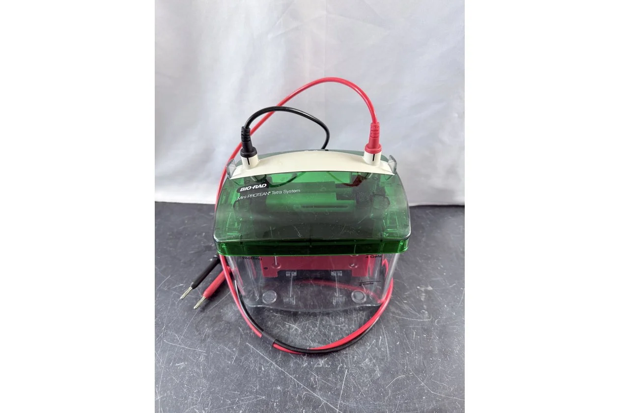 2026-01-20 10-32-23.acdsee.JPG