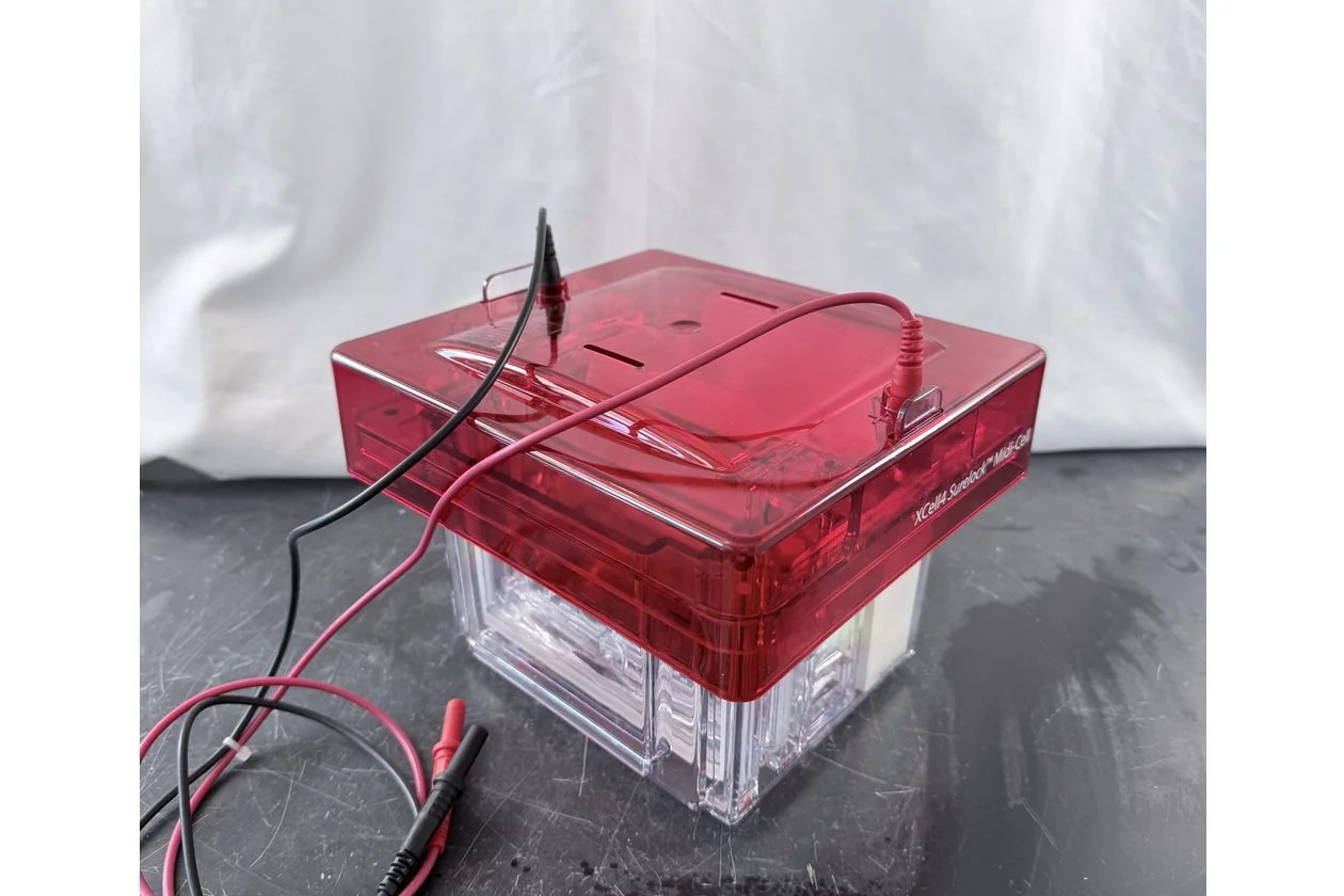 2026-03-09 14-57-56-1.acdsee.JPG