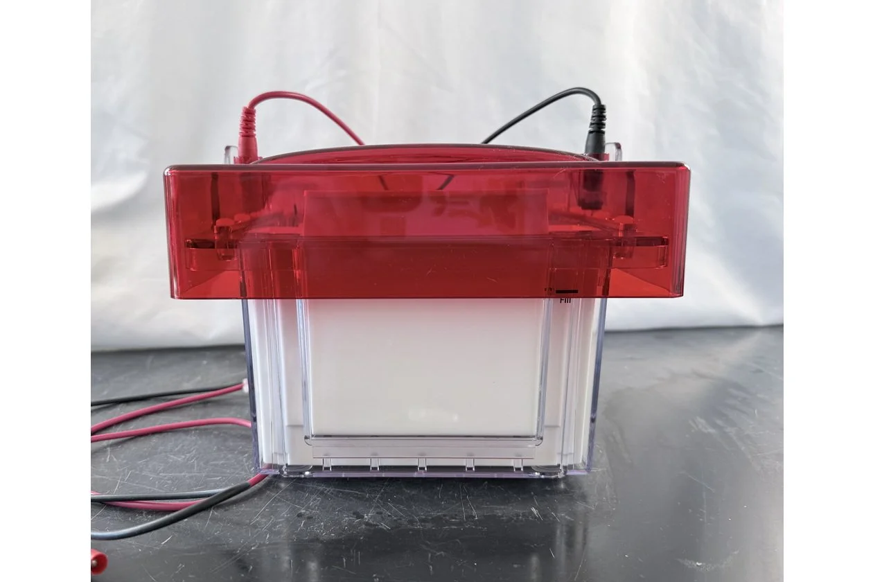 2026-03-09 14-58-12-1.acdsee.JPG