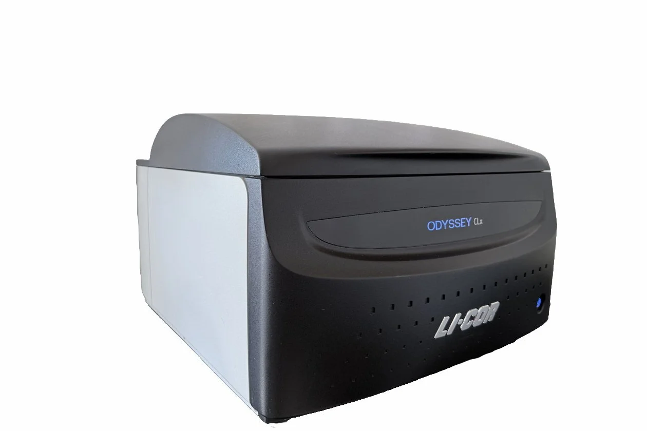LICOR Odyssey CLx Imaging System