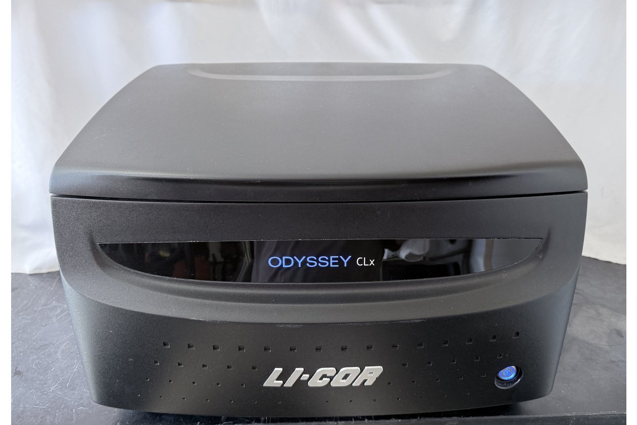 2026-02-28 15-45-57-1.acdsee.JPG