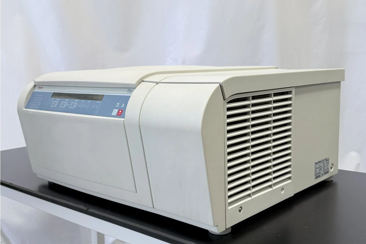 2026-06-11 15-09-29-1.acdsee.JPG
