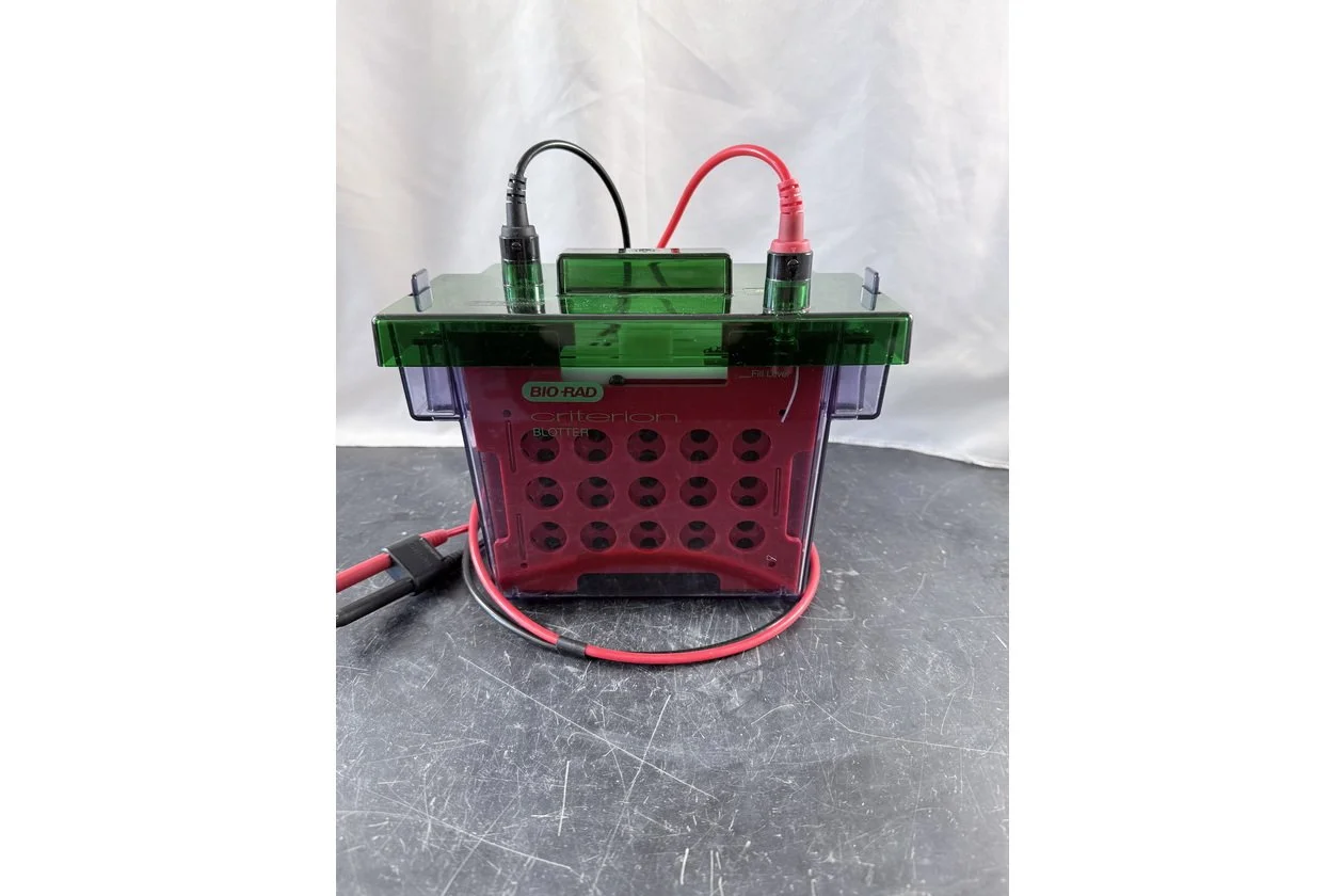 2026-01-20 10-37-46-1.acdsee.JPG