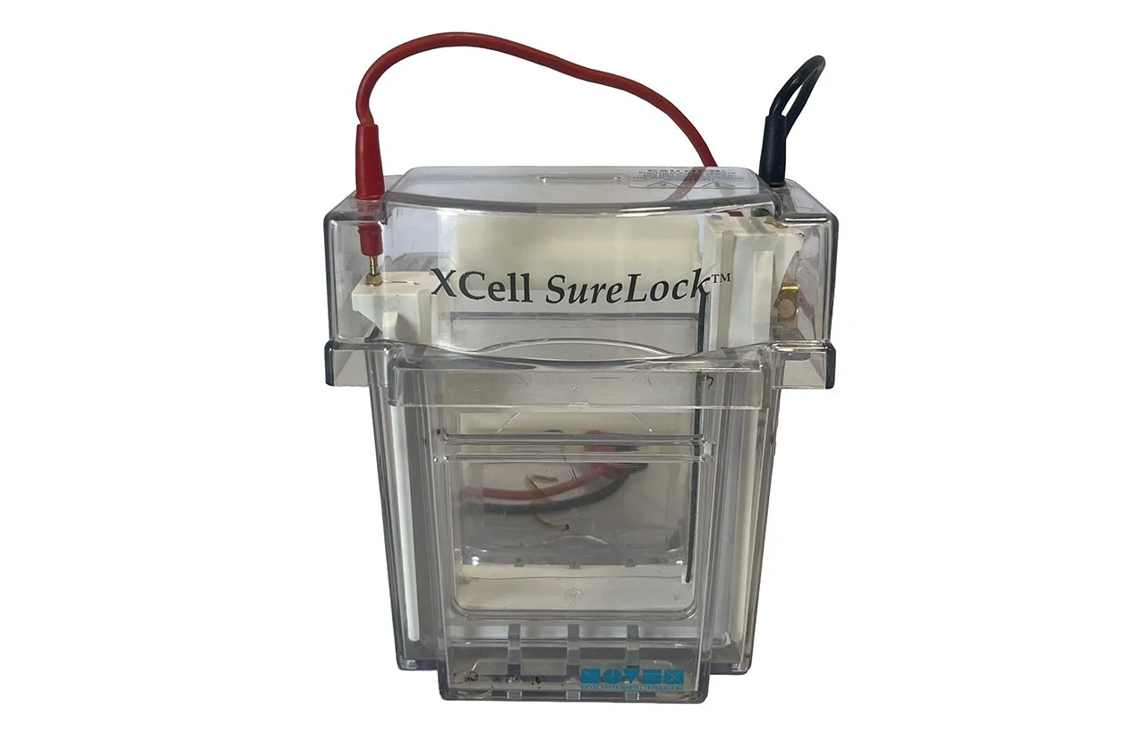 invitrogen-xcell-surelock-mini-cell-electrophoresis-system-ei0001