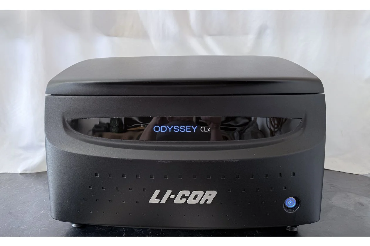 2026-02-28 15-45-54-1.acdsee.JPG