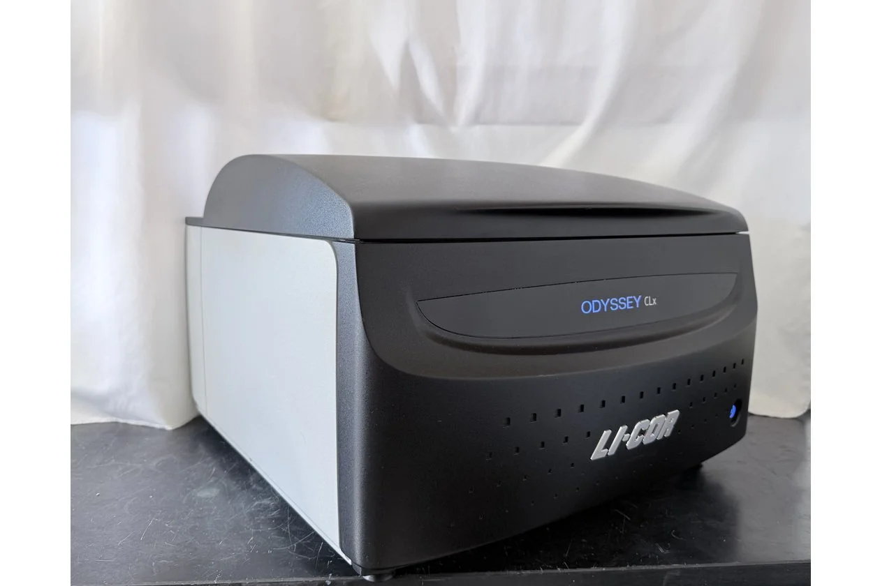 2026-02-28 15-47-31-1.acdsee.JPG