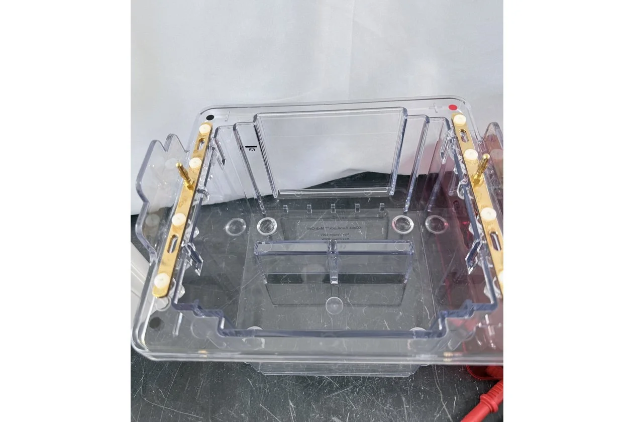 2026-03-09 14-59-00-1.acdsee.JPG