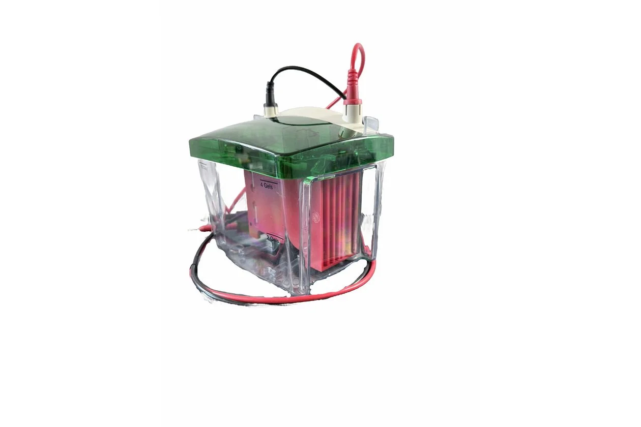 Bio-Rad Mini Trans-Blot Cell