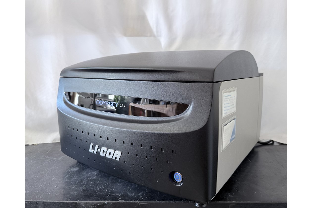 2026-02-28 15-47-15-1.acdsee.JPG