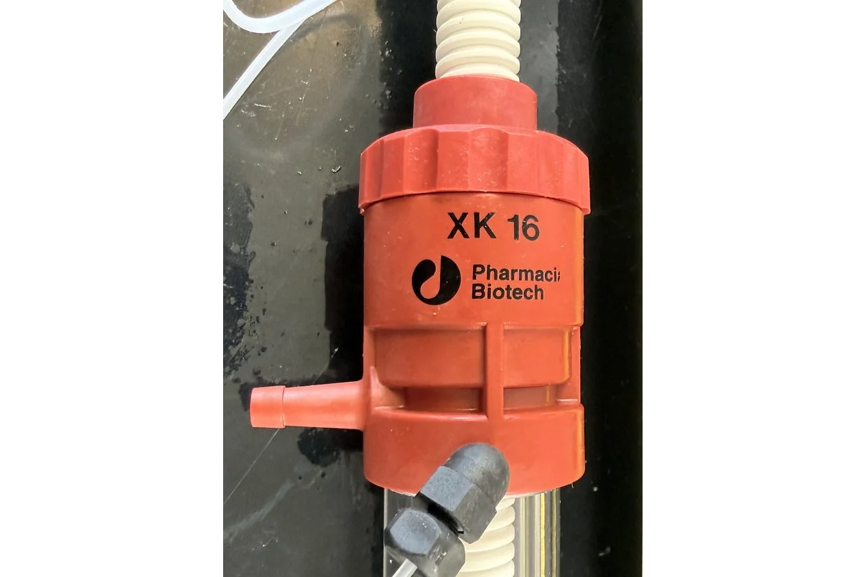 2026-01-26 14-53-37-1.acdsee.JPG