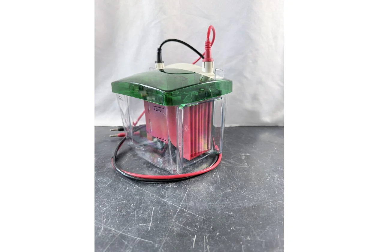 2026-01-20 10-32-30.acdsee.JPG