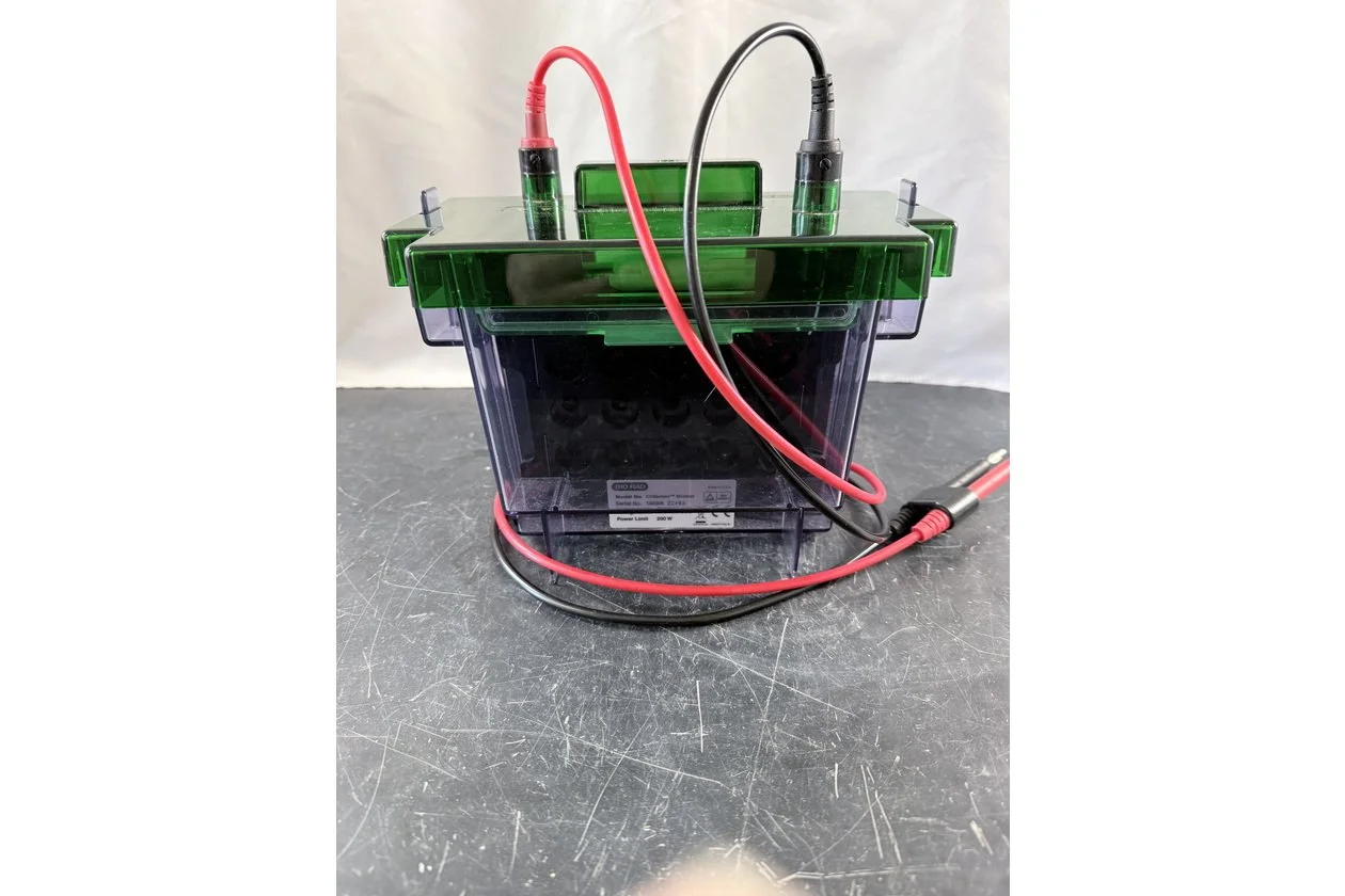 2026-01-20 10-38-28.acdsee.JPG