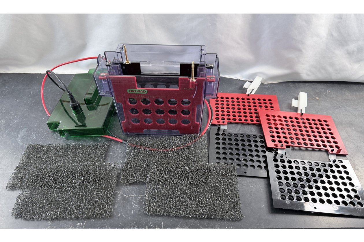 2026-01-20 10-40-01-1.acdsee.JPG