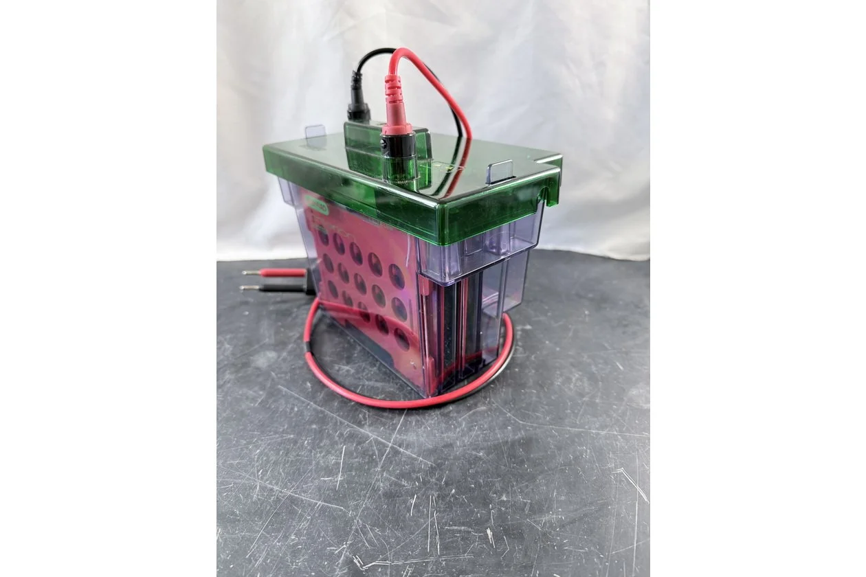 2026-01-20 10-37-57.acdsee.JPG