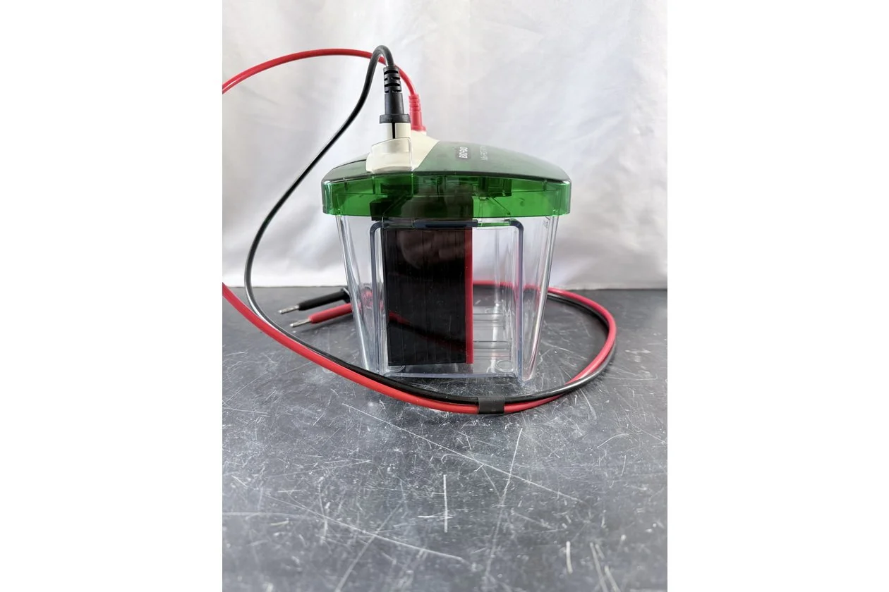 2026-01-20 10-32-41.acdsee.JPG