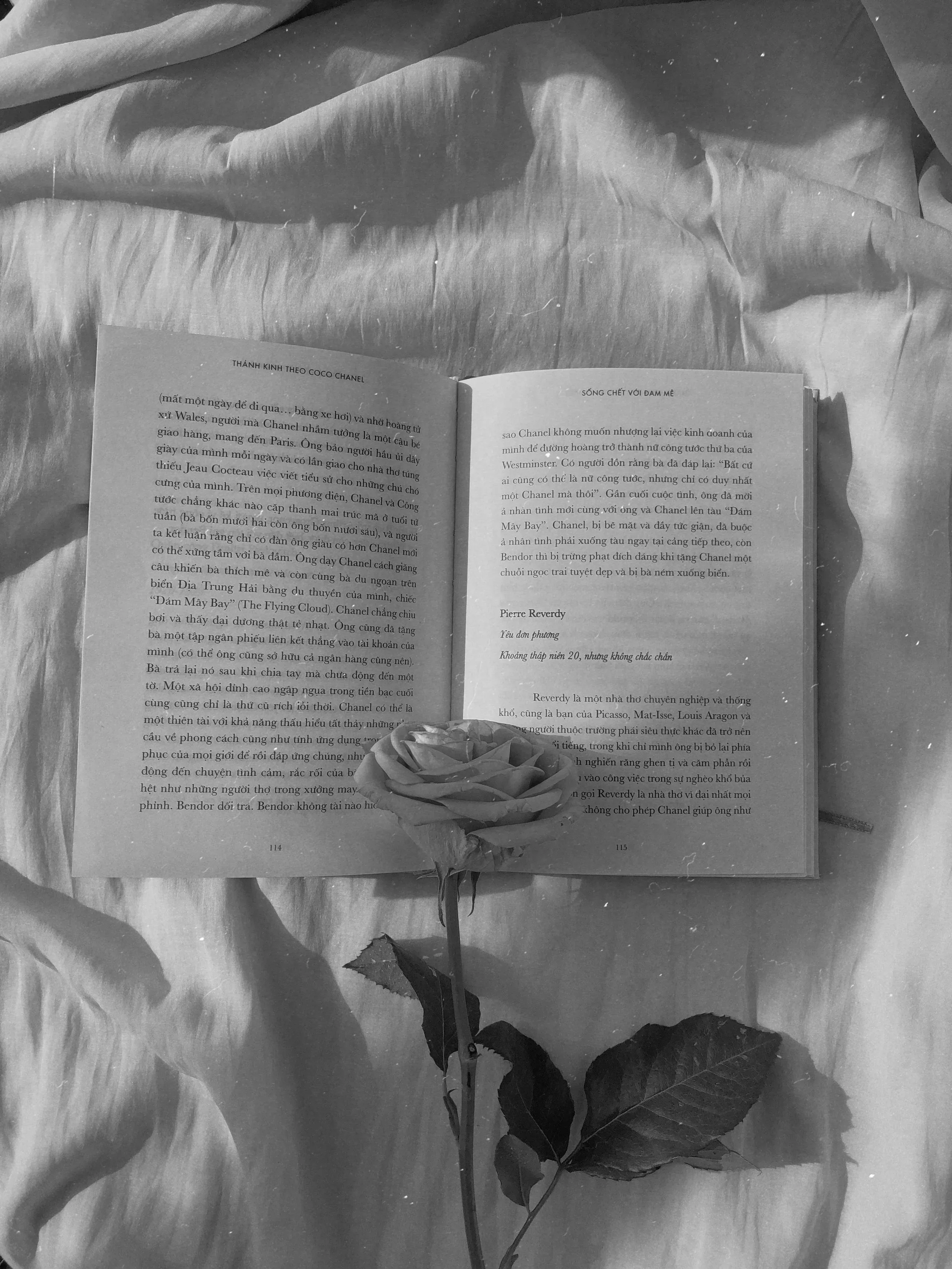 What Readers Don’t Know About Being a Romance Author