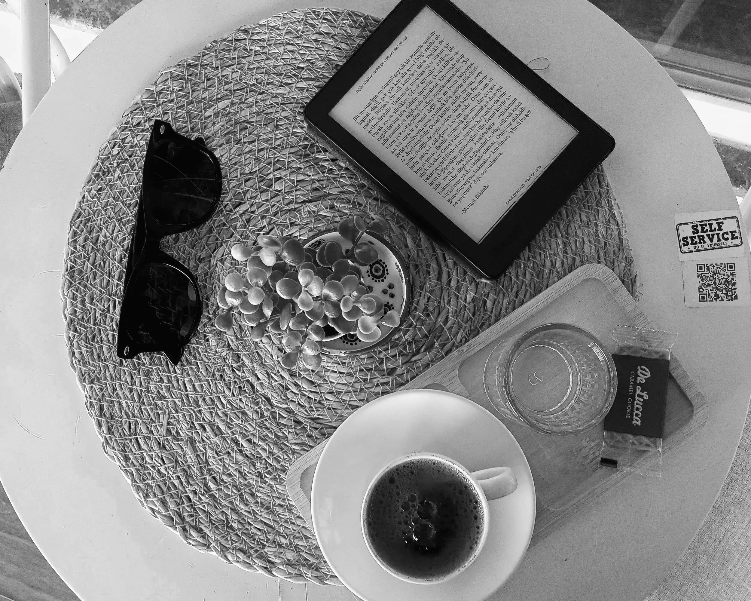 The Books I Read in November 2025