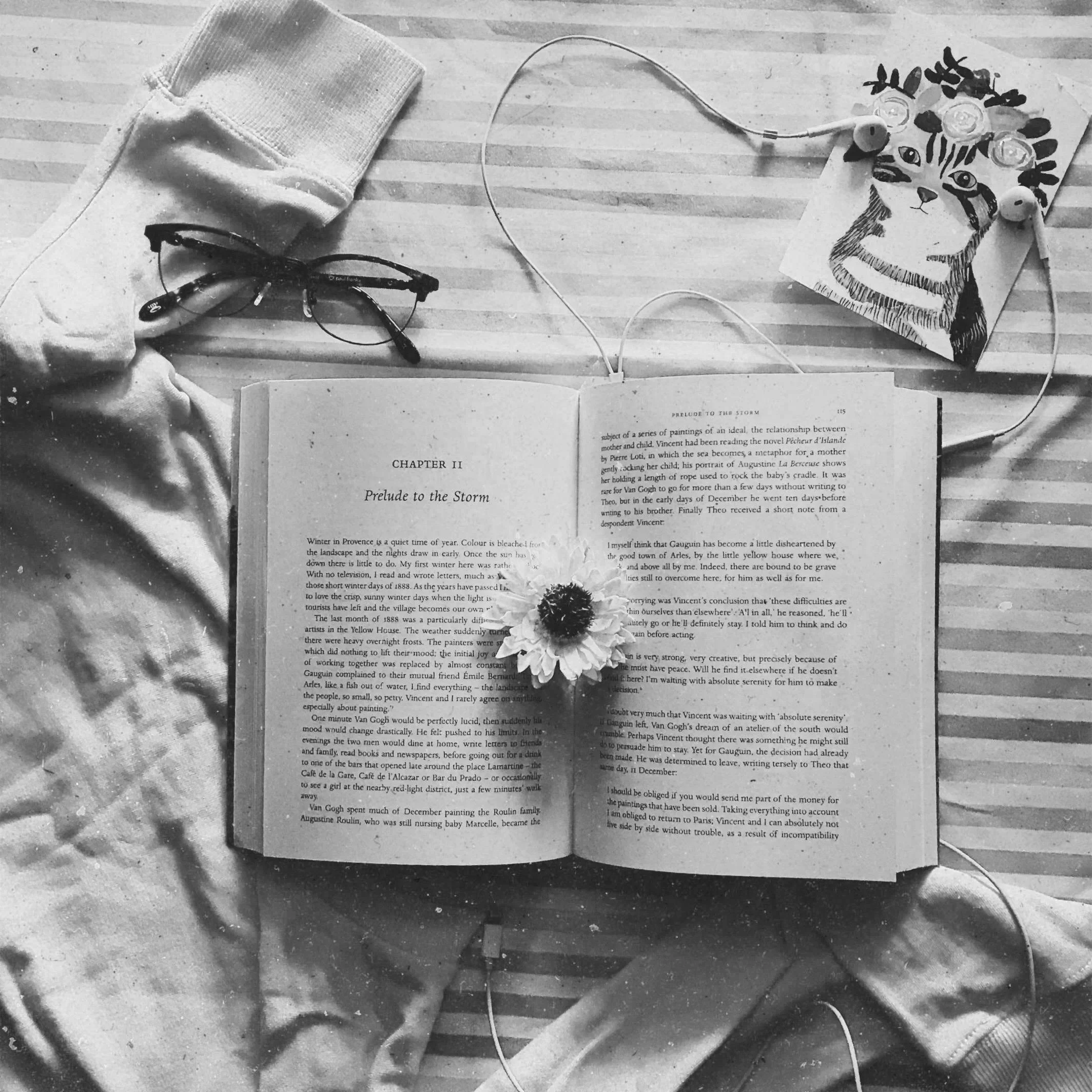 What to Post on Bookstagram: Content Ideas for Bookstagrammers (that Authors Love!)