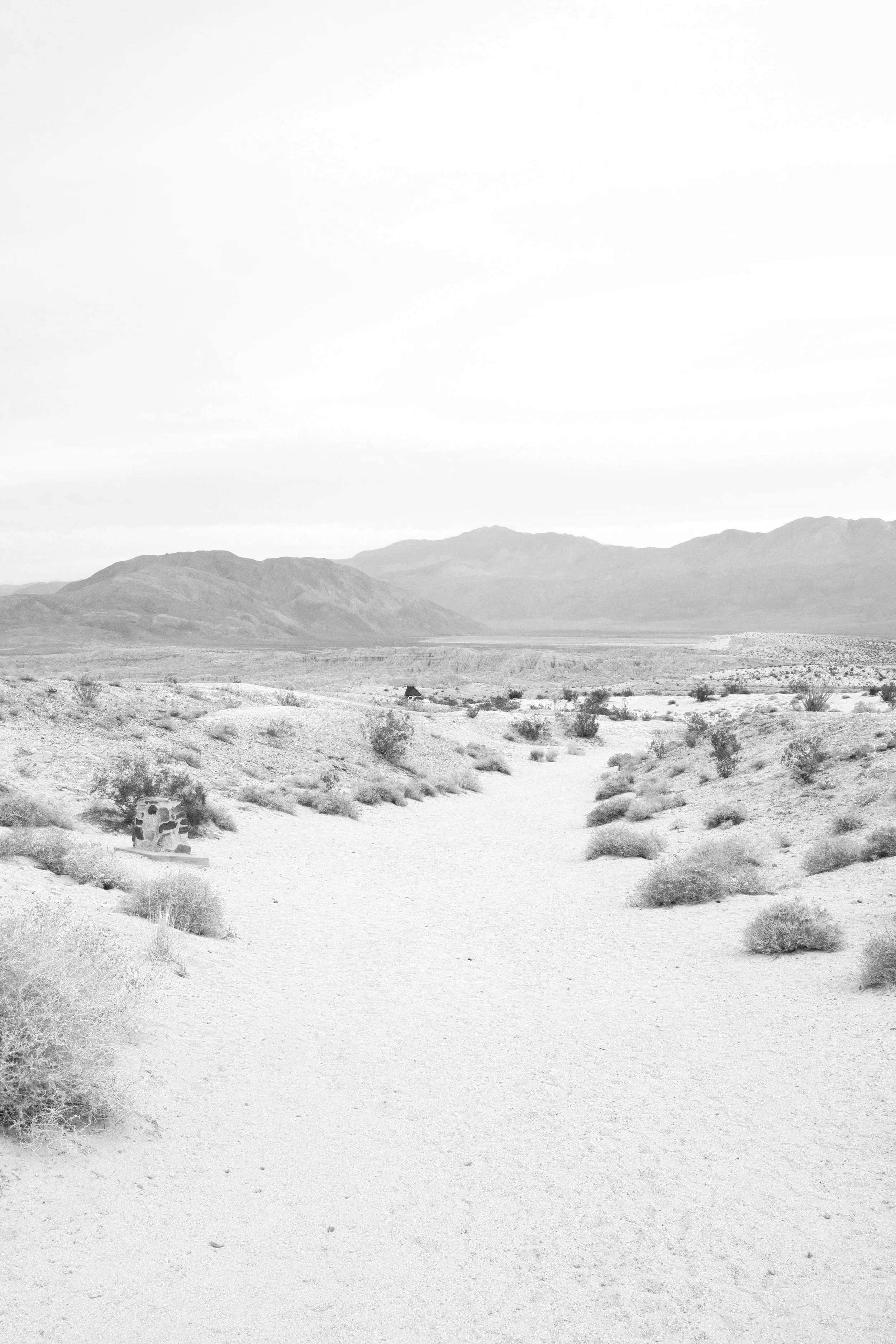 The Best Romance Books Set in the Desert