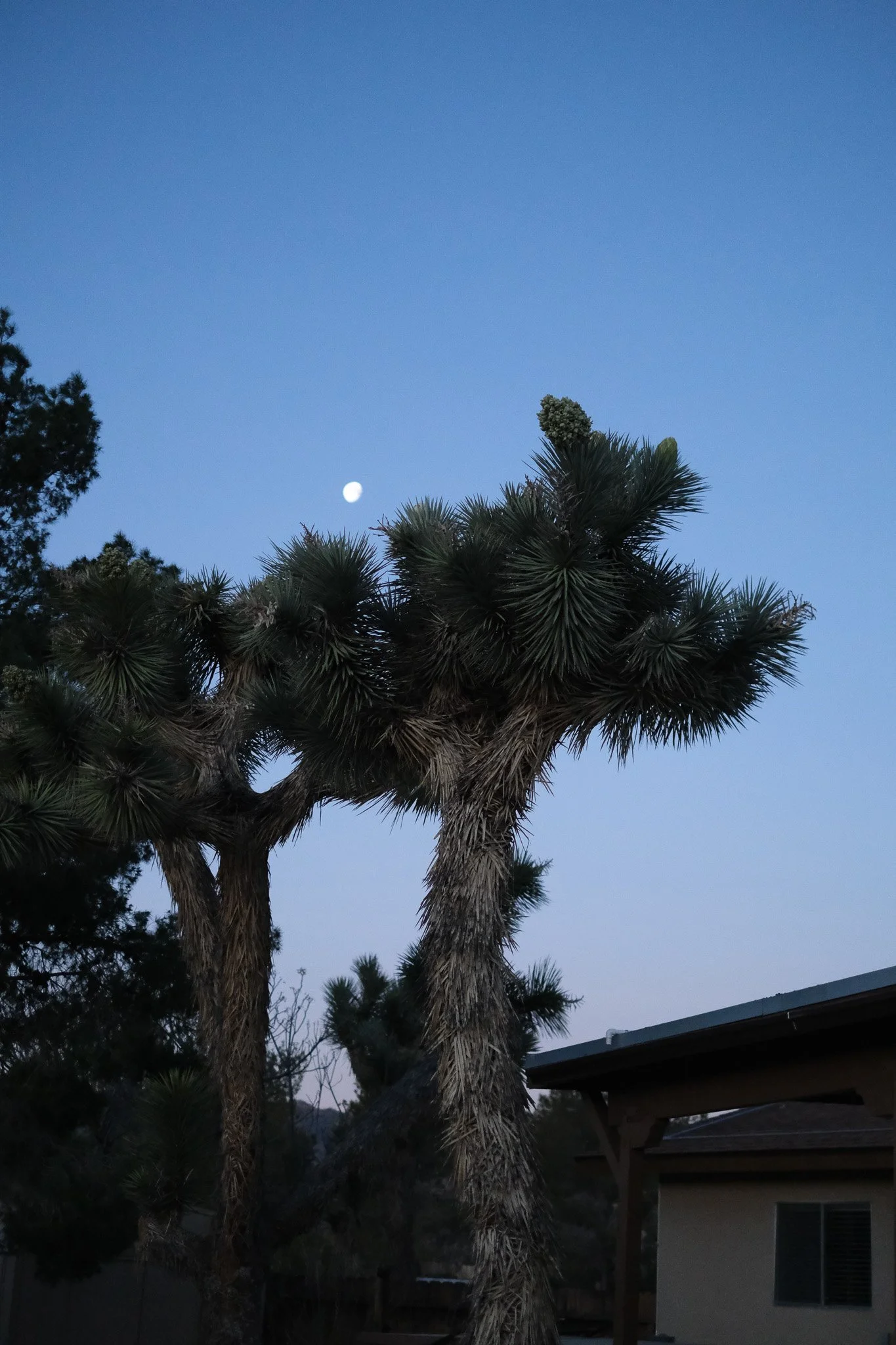 DSCF8655-2.jpg