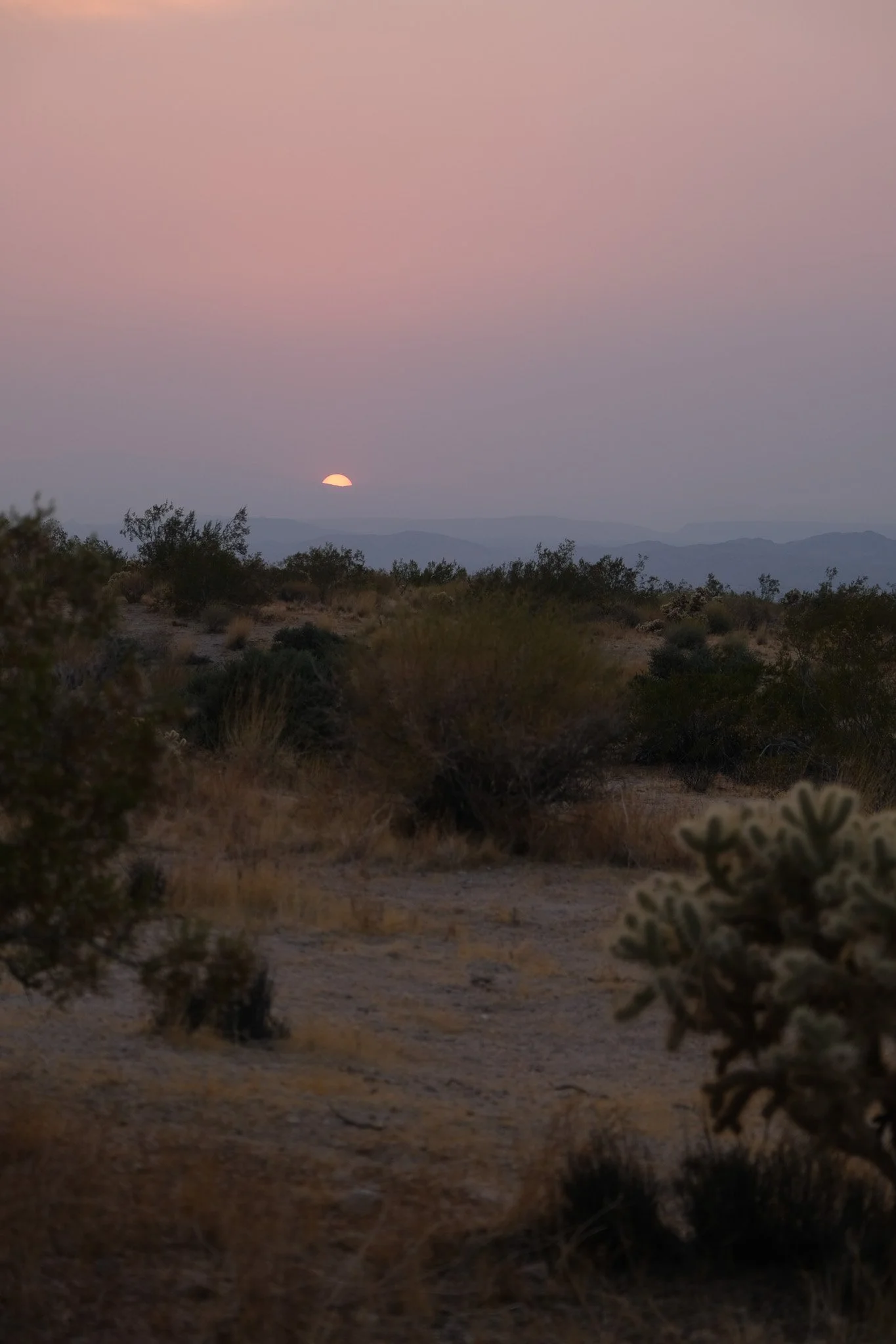 DSCF3561.jpg