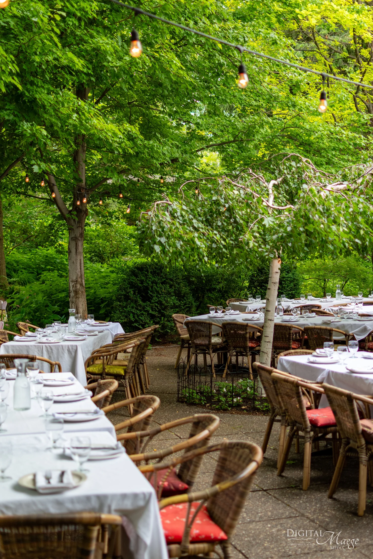 Tables set under the tree canopy in the garden