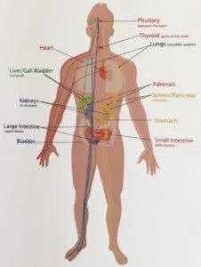 How does Splankna work? — LifeSource Coaches