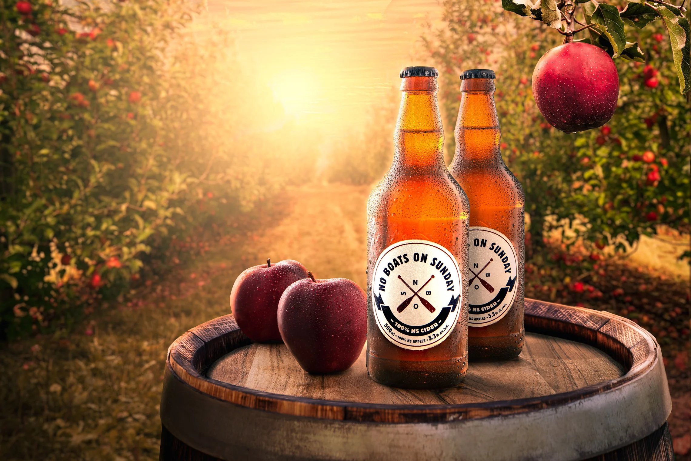 Two bottles of apple cider with labels, two red apples, and a hanging apple in an apple orchard at sunset, on a wooden barrel.