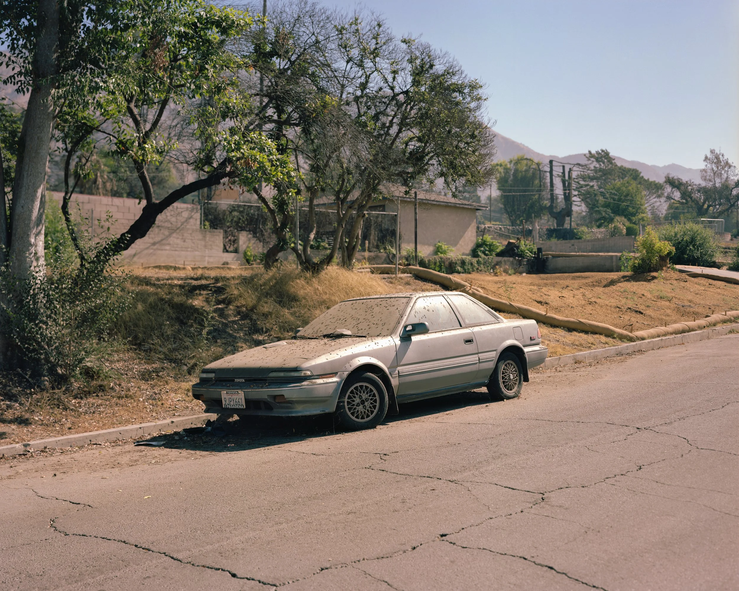 Abandoned Corolla-1.jpg