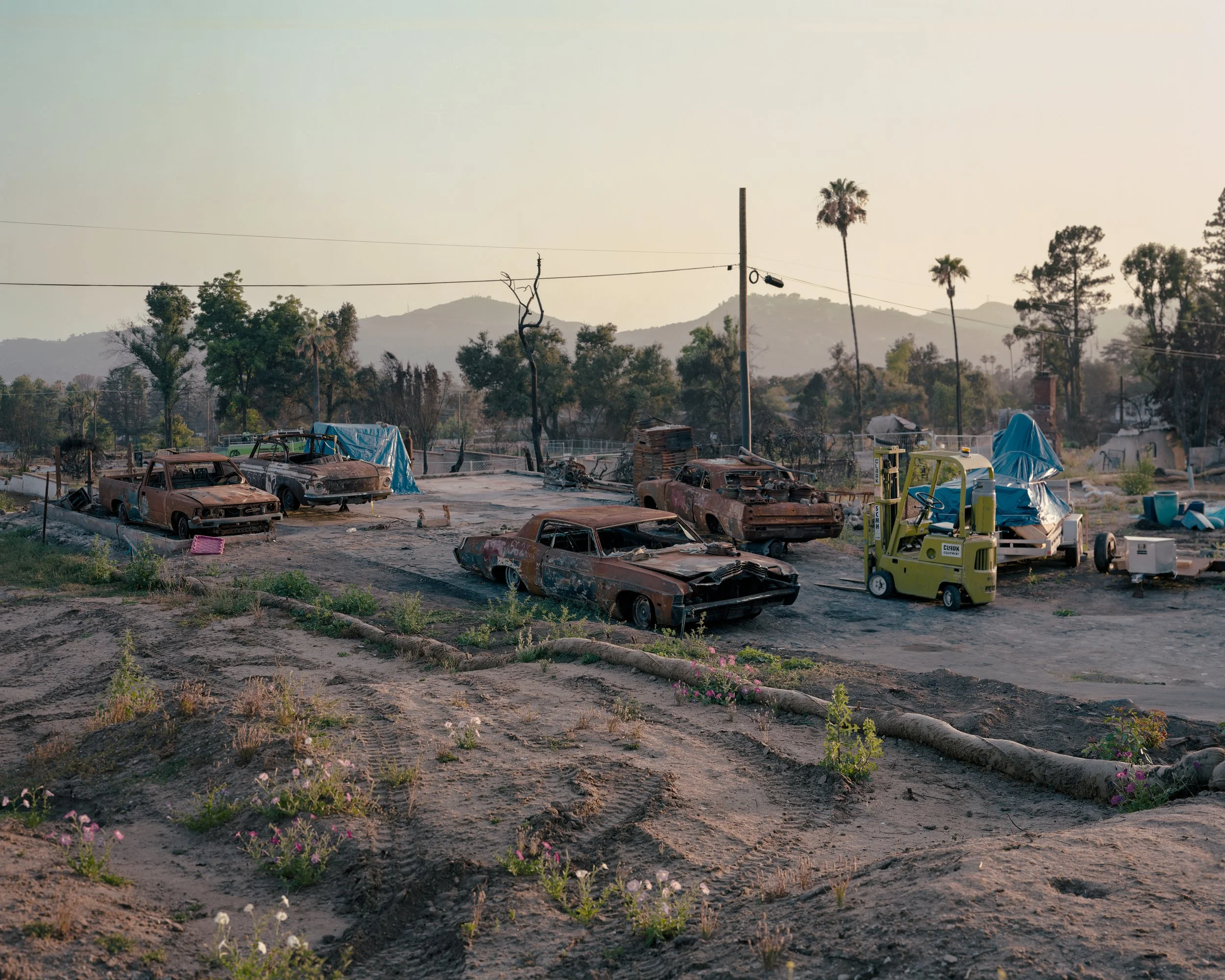 Burned out cars at sunset-1.jpg