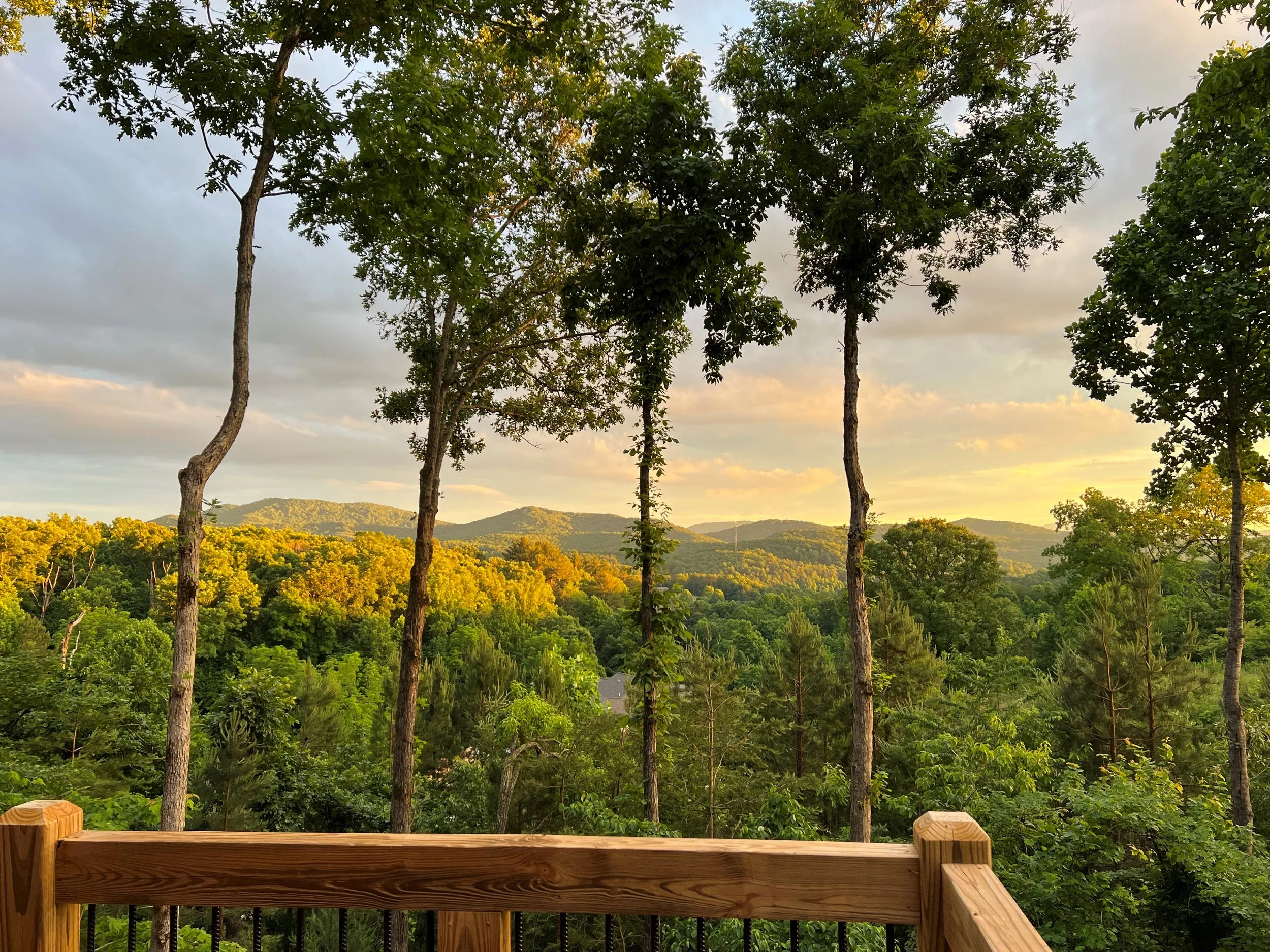 View1.jpg
