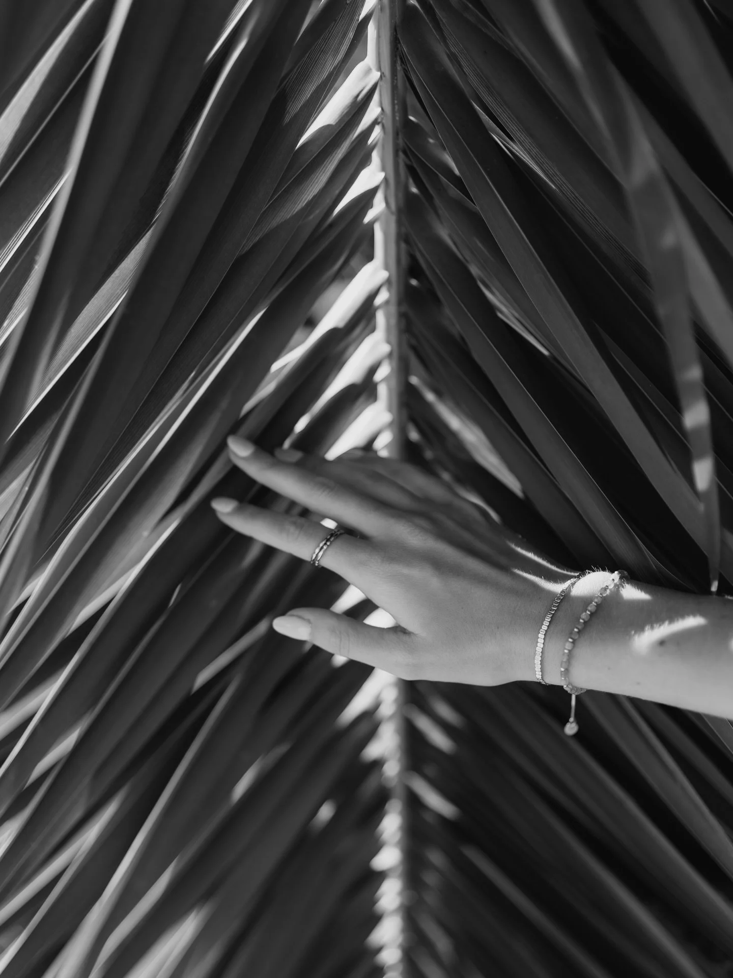palm lines &amp; light.