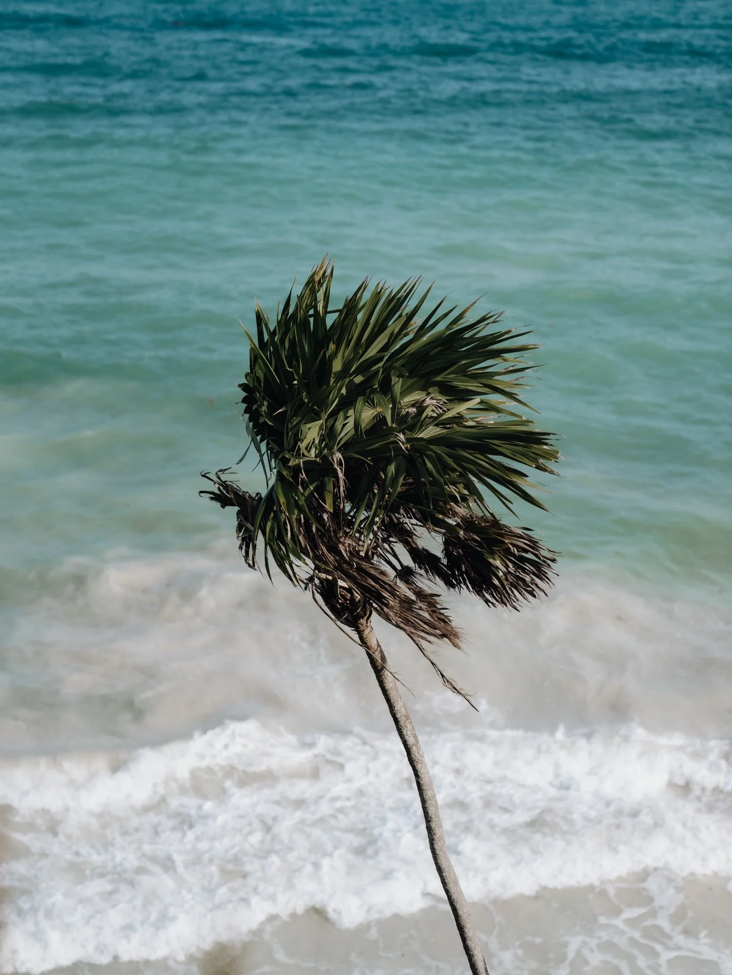 maya ruins | tulum. 🌴