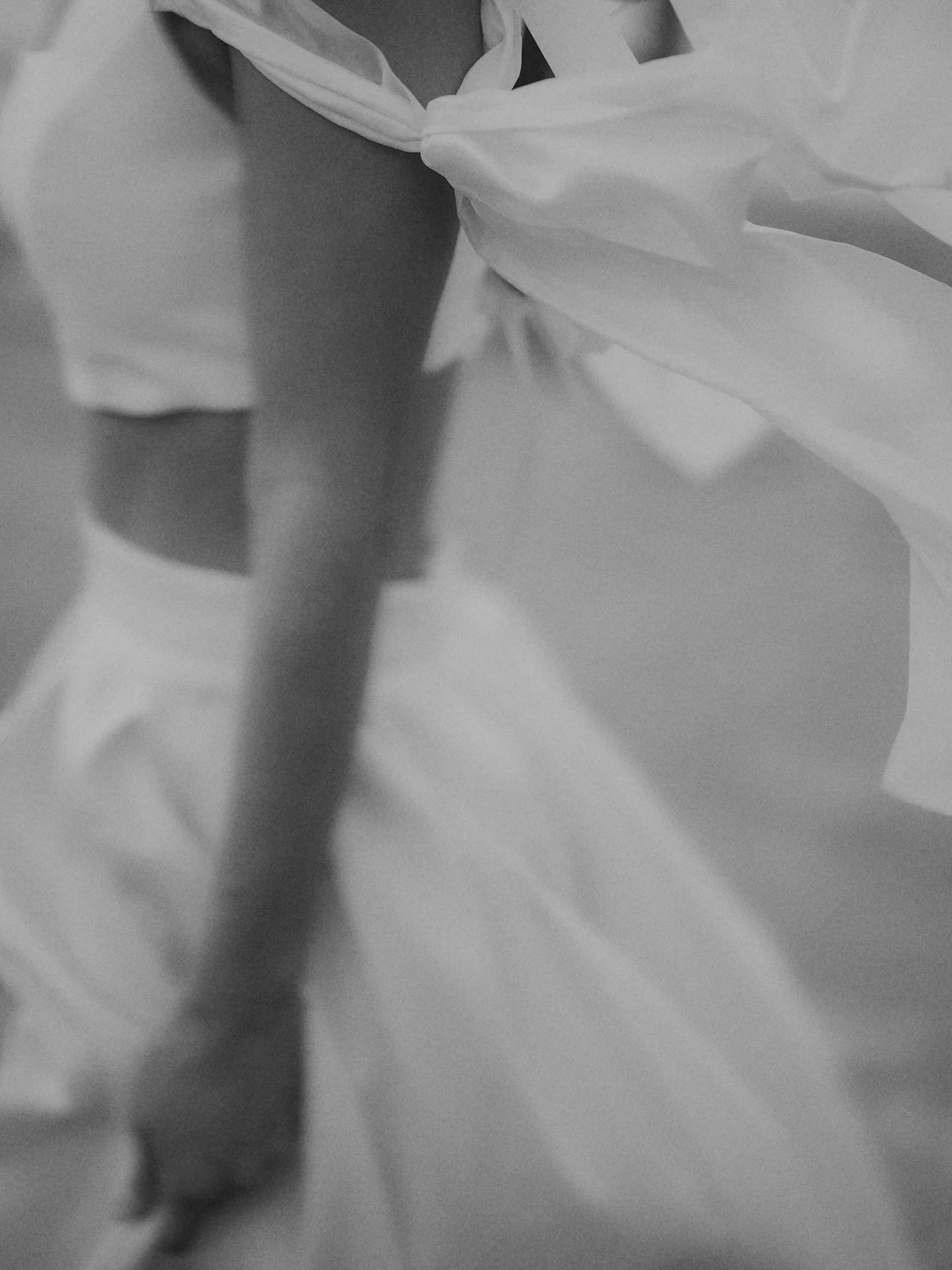 wrapped in softness.