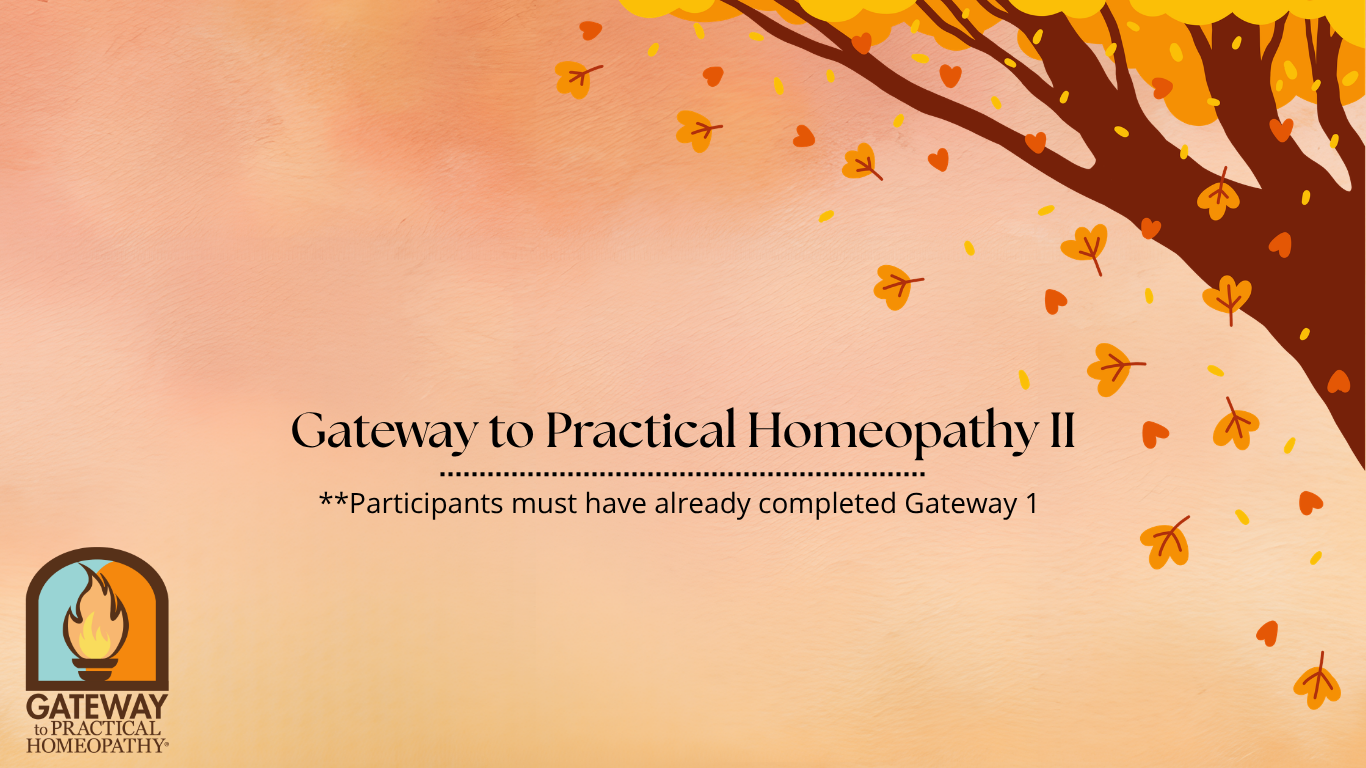 Gateway to Practical Homeopathy II
