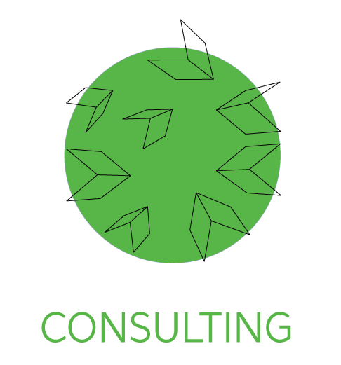 consulting-icon-1.png