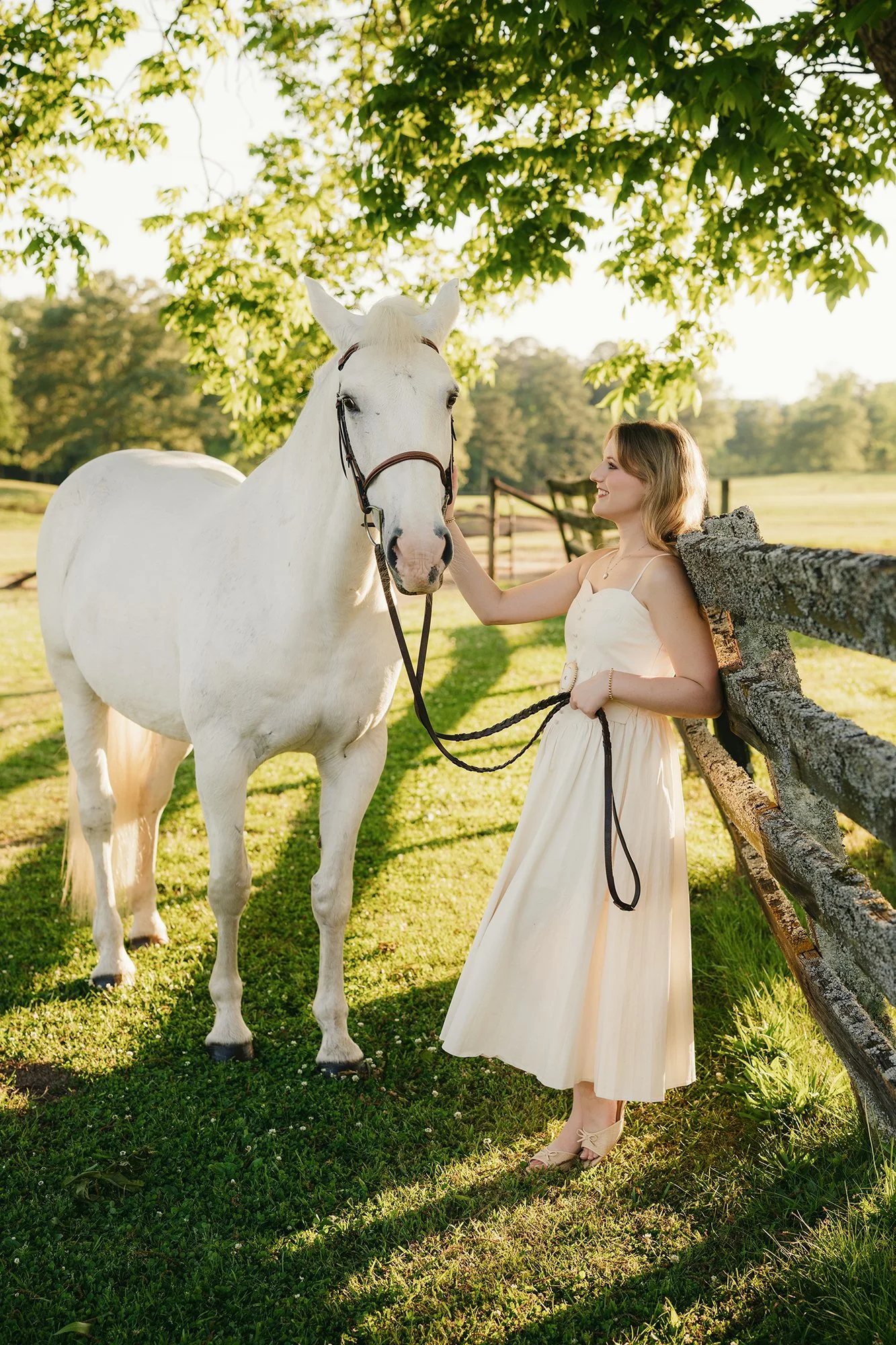 horsephotosseniorphotographybirmingham.jpg