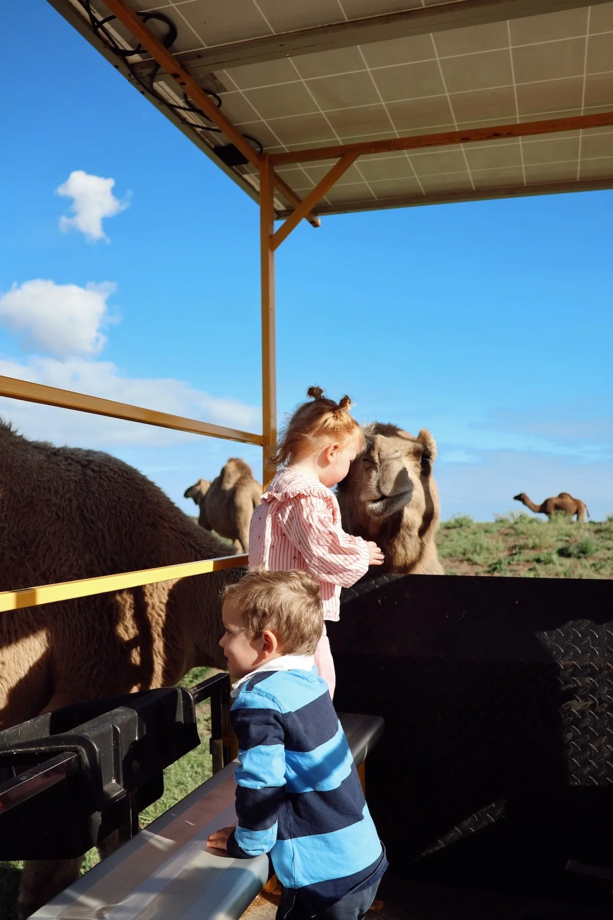 ORBE Properties Camel Farm1.JPG