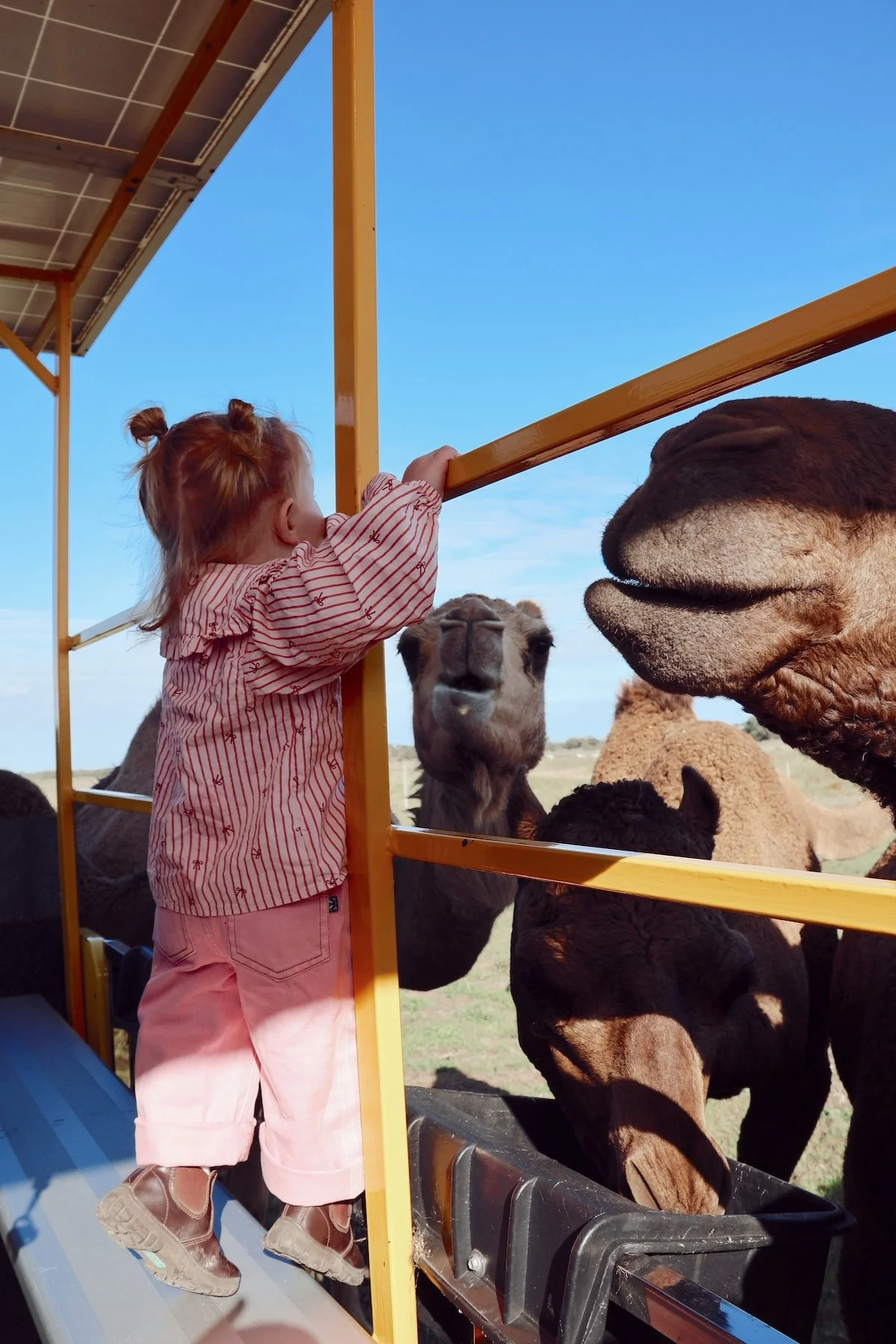 ORBE Properties Camel Farm4.JPG