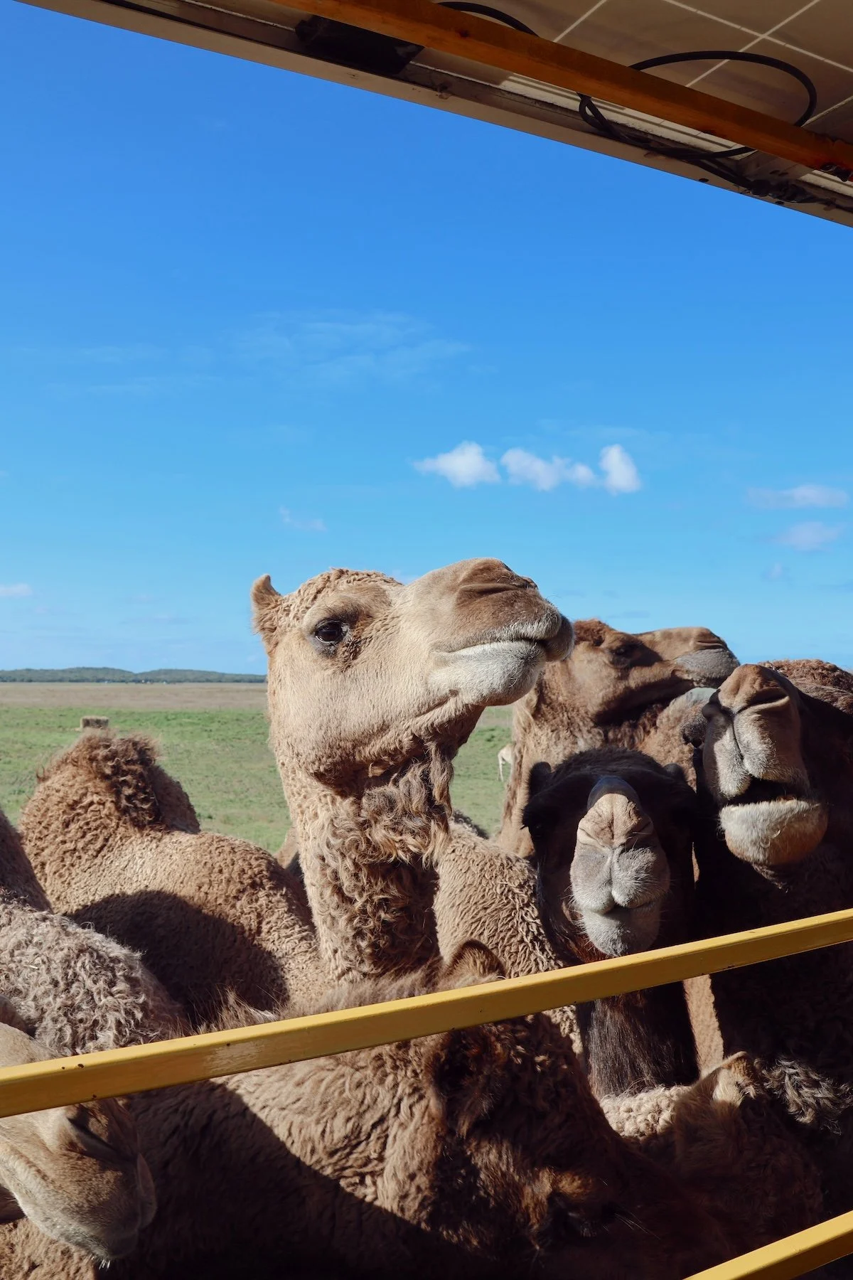 ORBE Properties Camel Farm.JPG