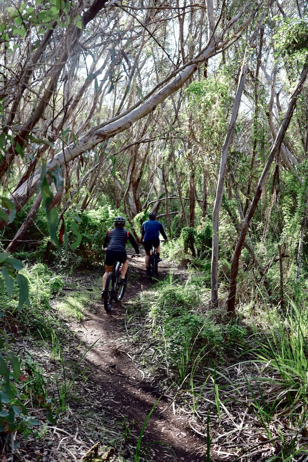 Three Days in Robe: A Local Guide